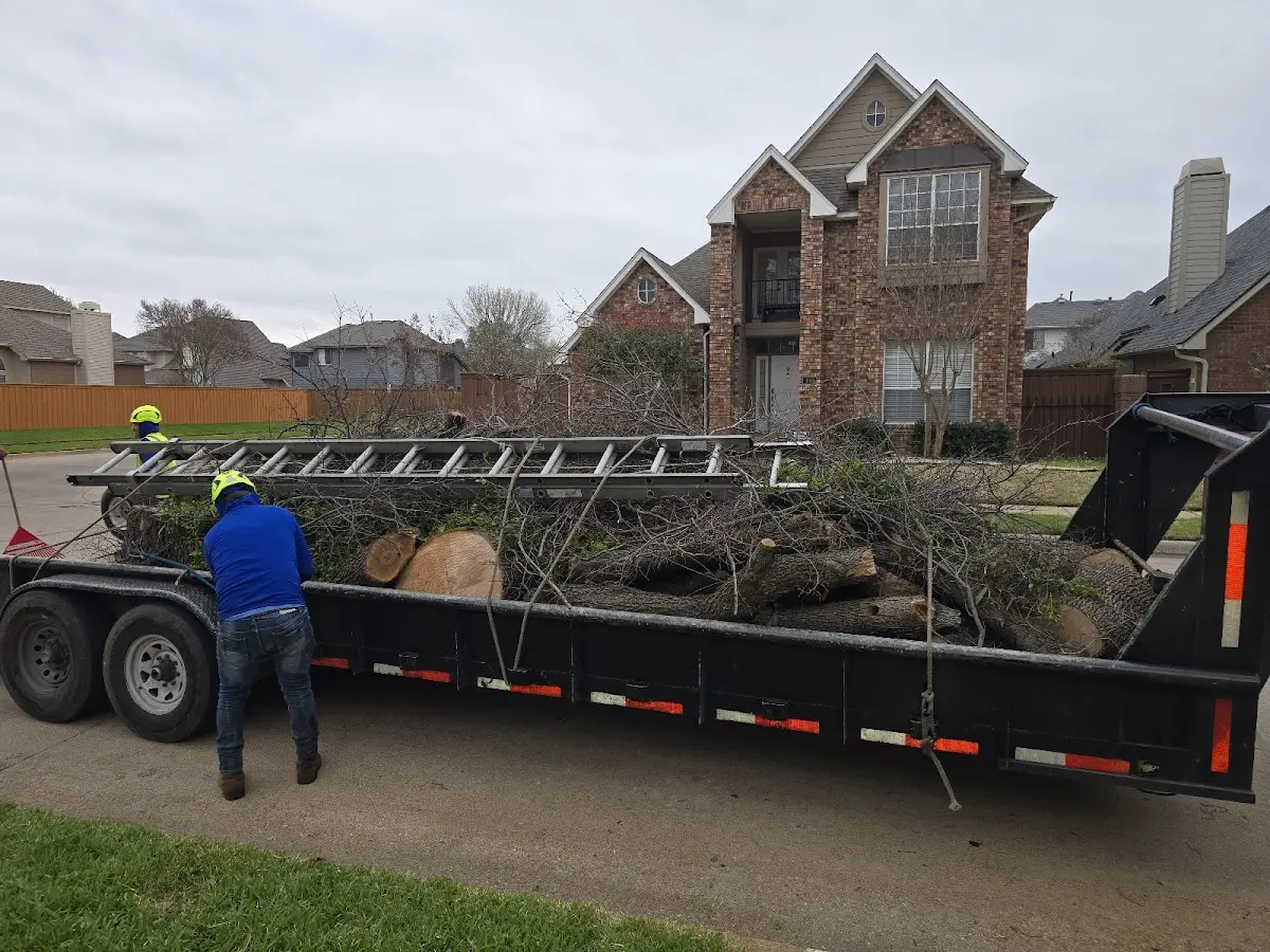 Expert Tree Pest Control with proper safety equipment in Haleiwa